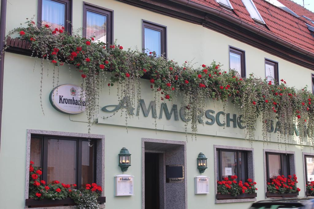 米尔豪森 班霍夫阿莫什尔旅馆酒店 外观 照片
